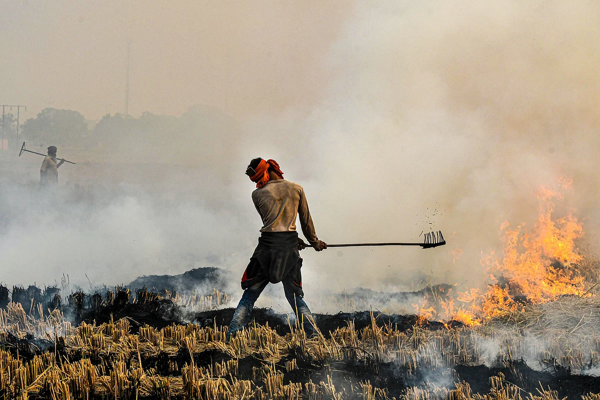 A farmer burns paddy stubble in a field, in Chandigarh, Friday, 30 October.