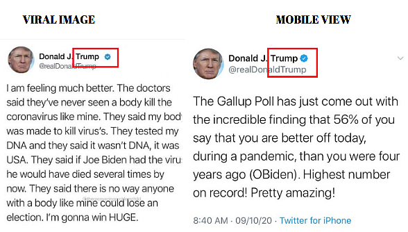 Left: Viral image. Right: Mobile view.