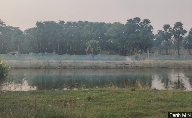 The forests beyond the river where the locals make hooch.