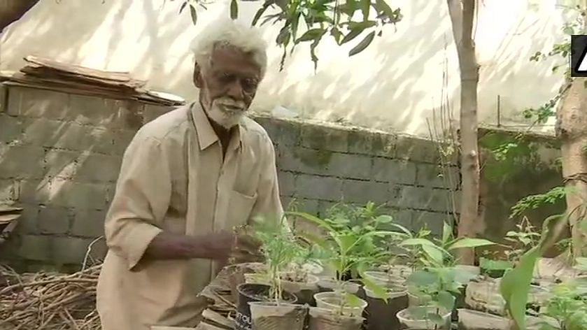 Bengaluru Man Gets Customers at His Plant Shop After Viral Tweet 