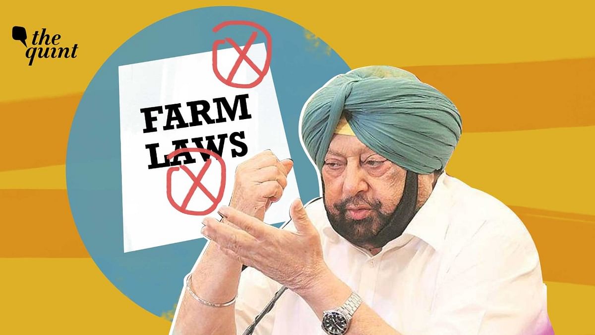 Punjab Assembly Passes 3 Bills on Farm Laws, Now Over to President