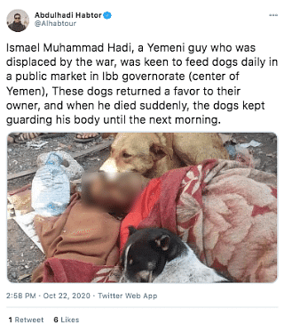 The image shows one Ismael Hadi from Yemen who used to feed dogs regularly.