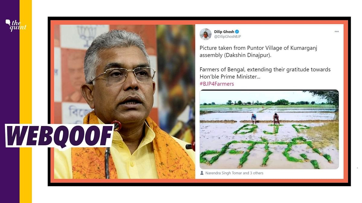 BJP Leader Shares Old  Bihar Image as WB Farmers Supporting  Modi