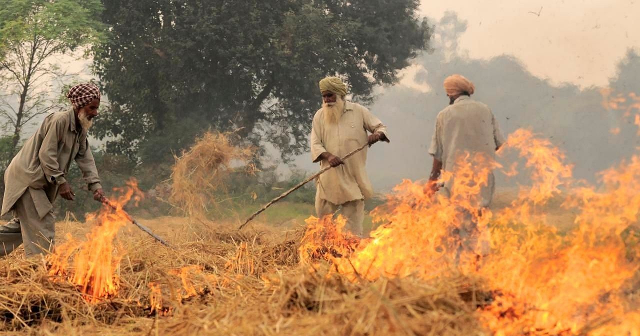 SC Constitutes One-Member Committee to Monitor Farm Fire Pollution