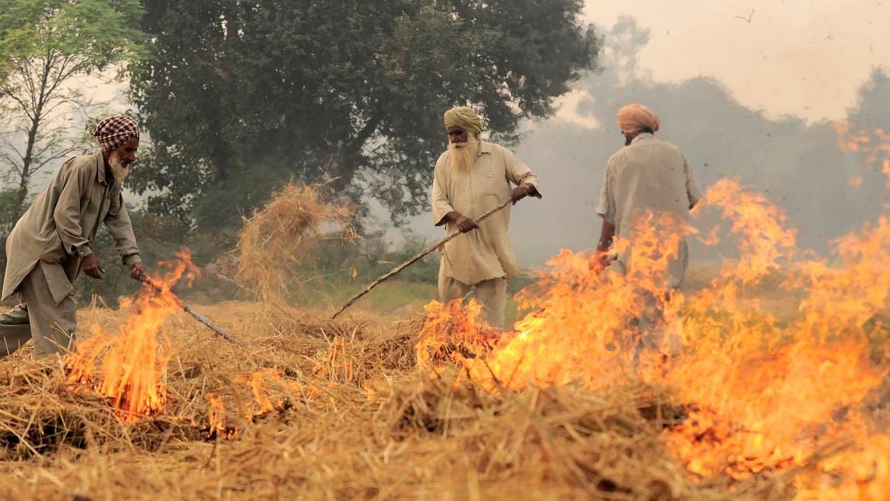 A one-member committee was constituted to monitor farm fires in Punjab, Haryana and western Uttar Pradesh. File Photo used for representational purposes only.