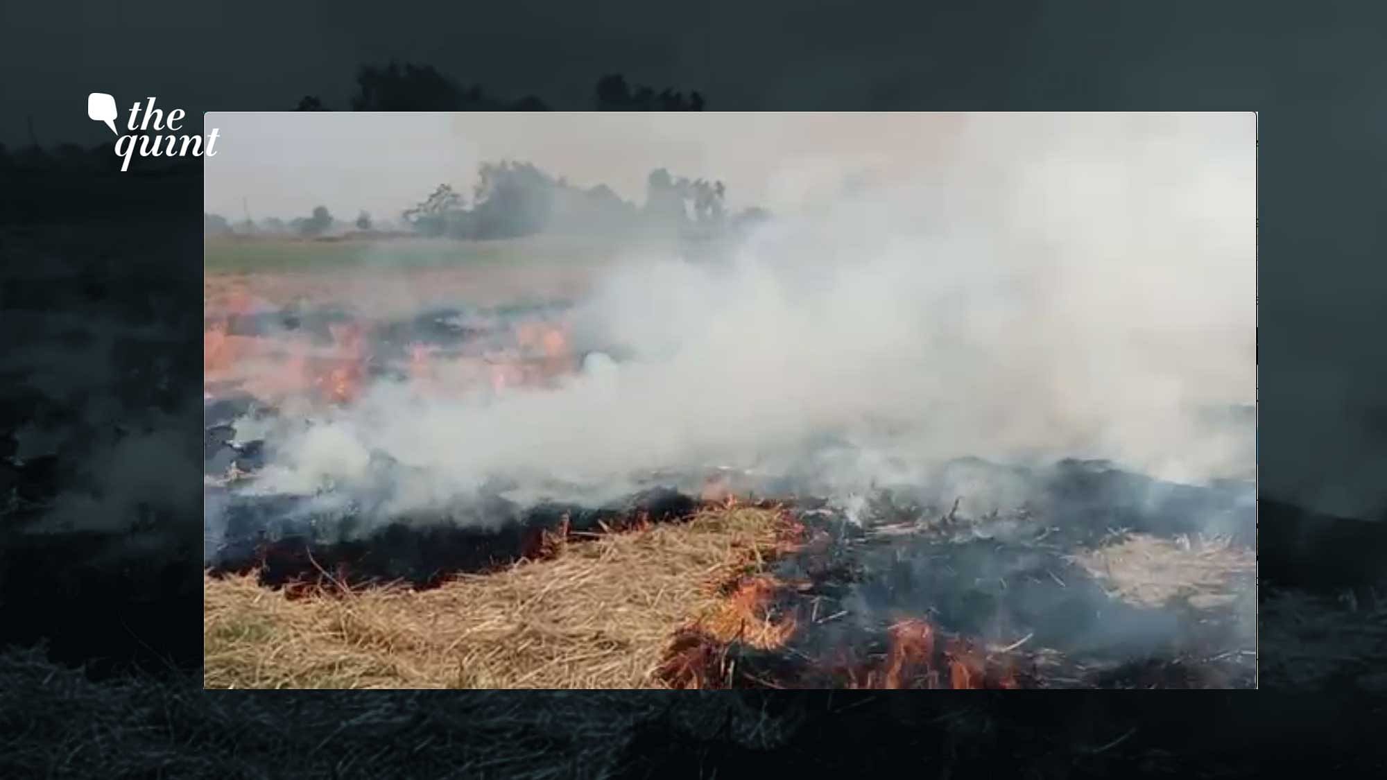 As the air quality worsens, farmers in Punjab continue to burn stubble saying they have no option but to burn it.&nbsp;