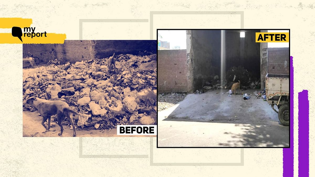 My Report Impact: Waste Dump Cleared, Ramp Built in Dilshad Garden