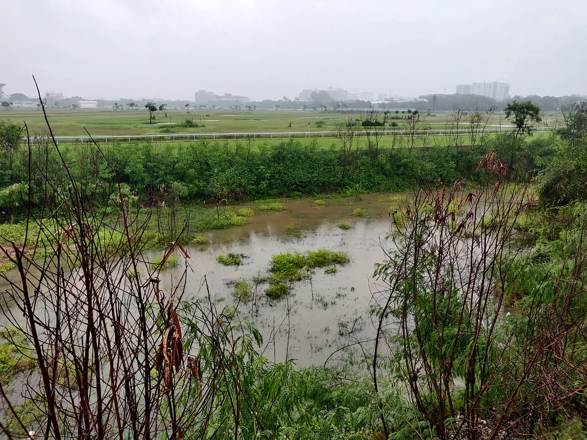 Water logging in the area as heavy downpour of rain from morning.