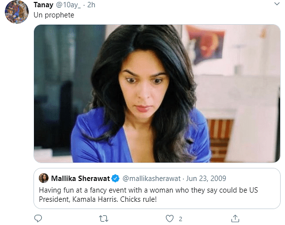 Mallika Sherawat once played a Hollywood character inspired by Kamala Harris.
