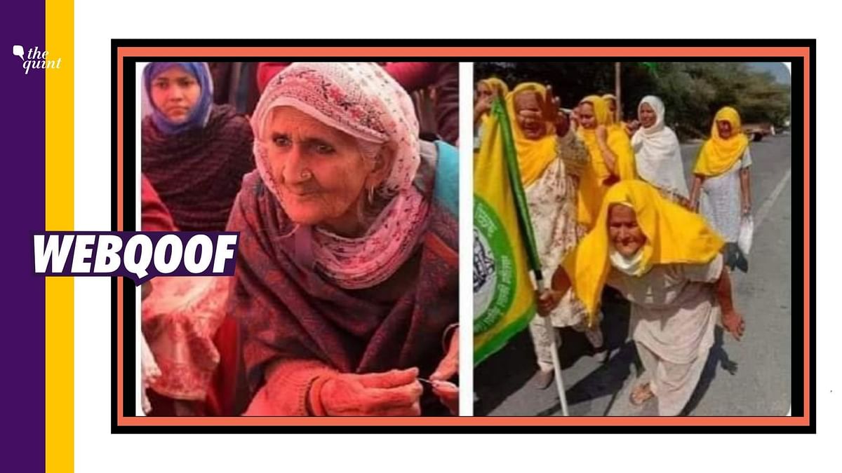 No, Old Lady in Farmers’ Protest is Not Shaheen Bagh’s Bilkis Dadi