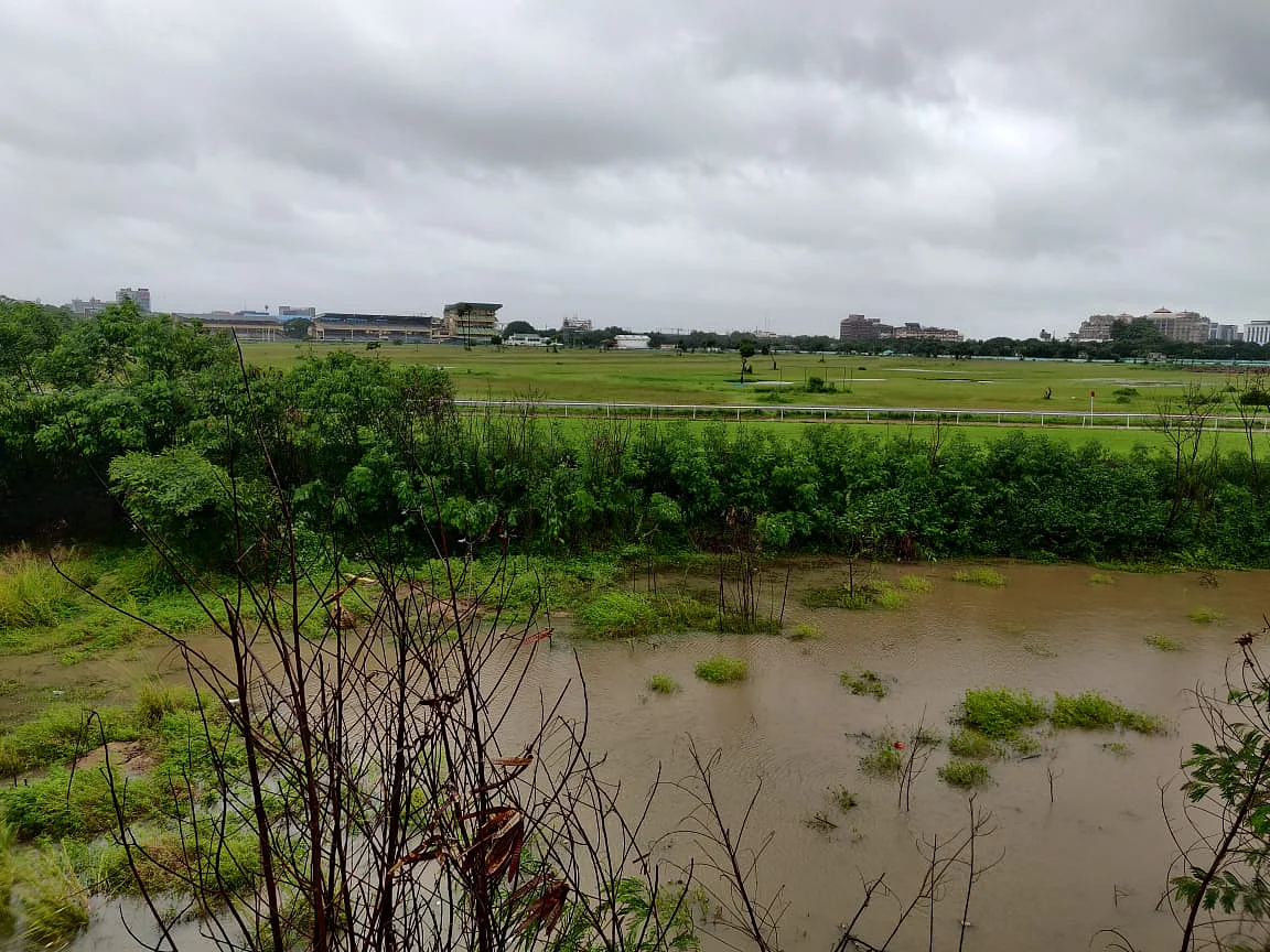 Visible flooding