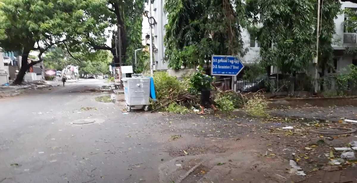 Over 267 trees have fallen in Chennai due to the cyclone.