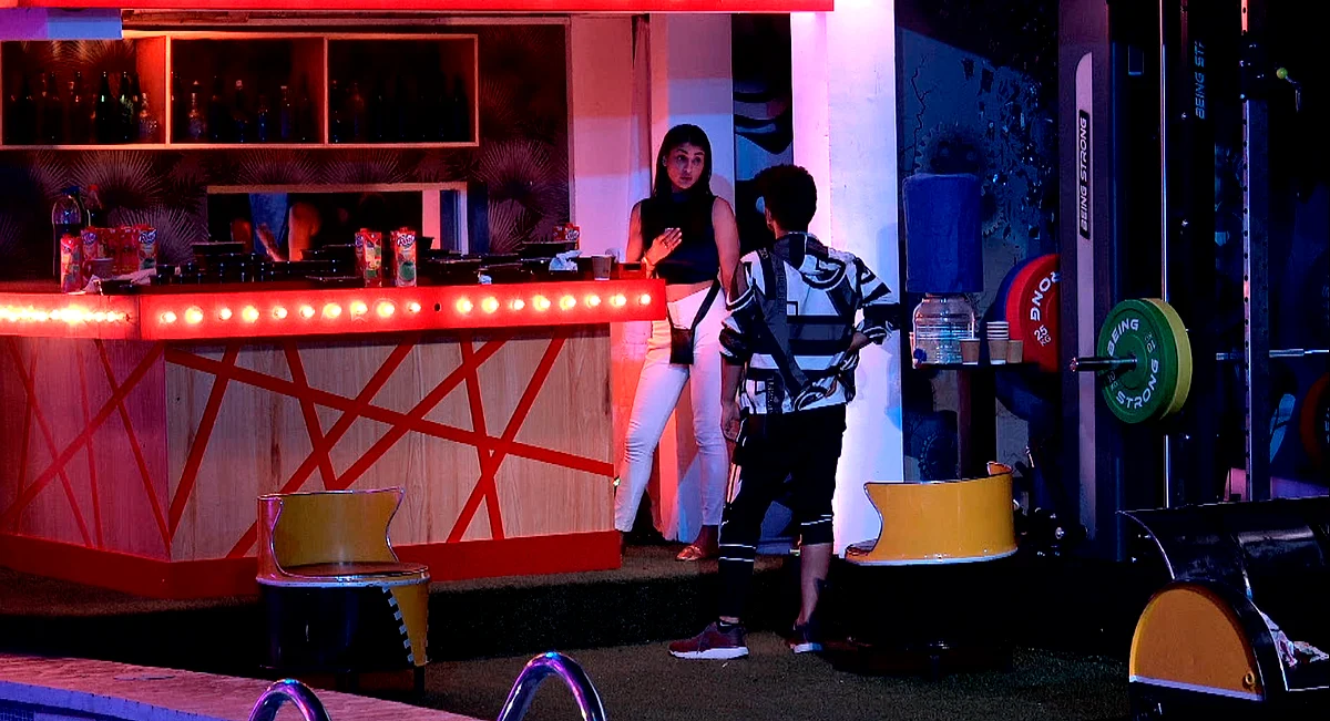 'BB 14' Day 35: Shaan, Sachin Trivedi Keep The House Entertained