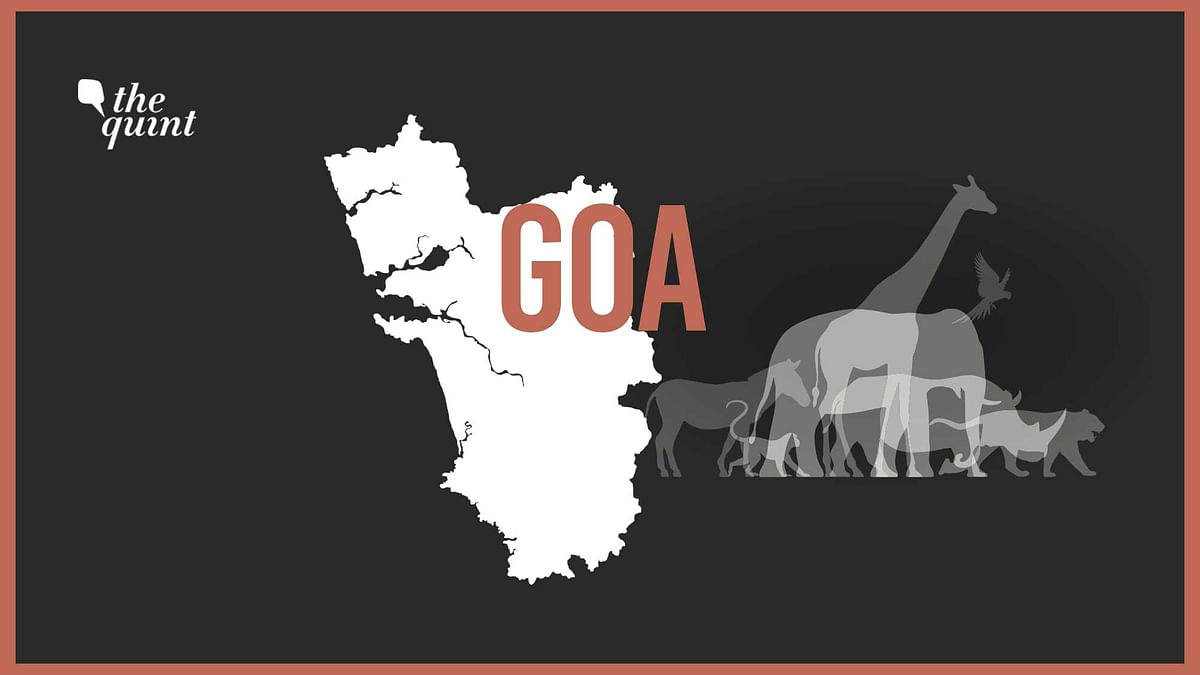 Why Are Goans Up In Arms Against State Infrastructure Projects?