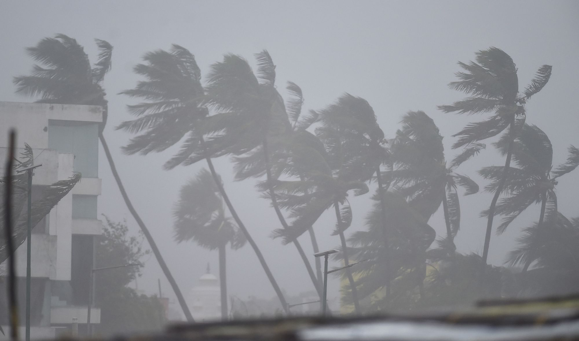 Strong winds ahead of the landfall of Cyclone Nivar, in Kovalam, Wednesday,
