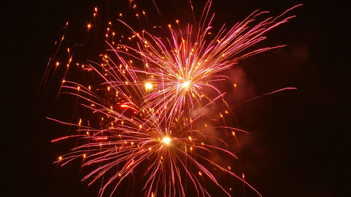 Telangana High Court Orders Ban on Firecrackers in View of COVID