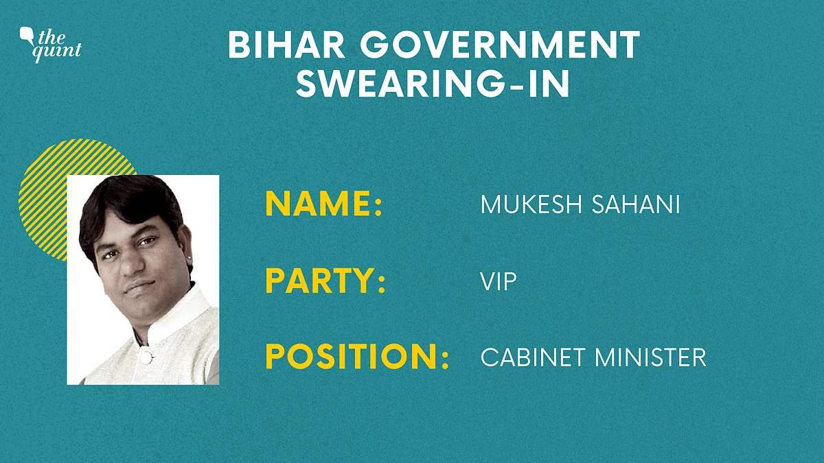 Bihar Government Formation: These Are the Newly Sworn In Ministers