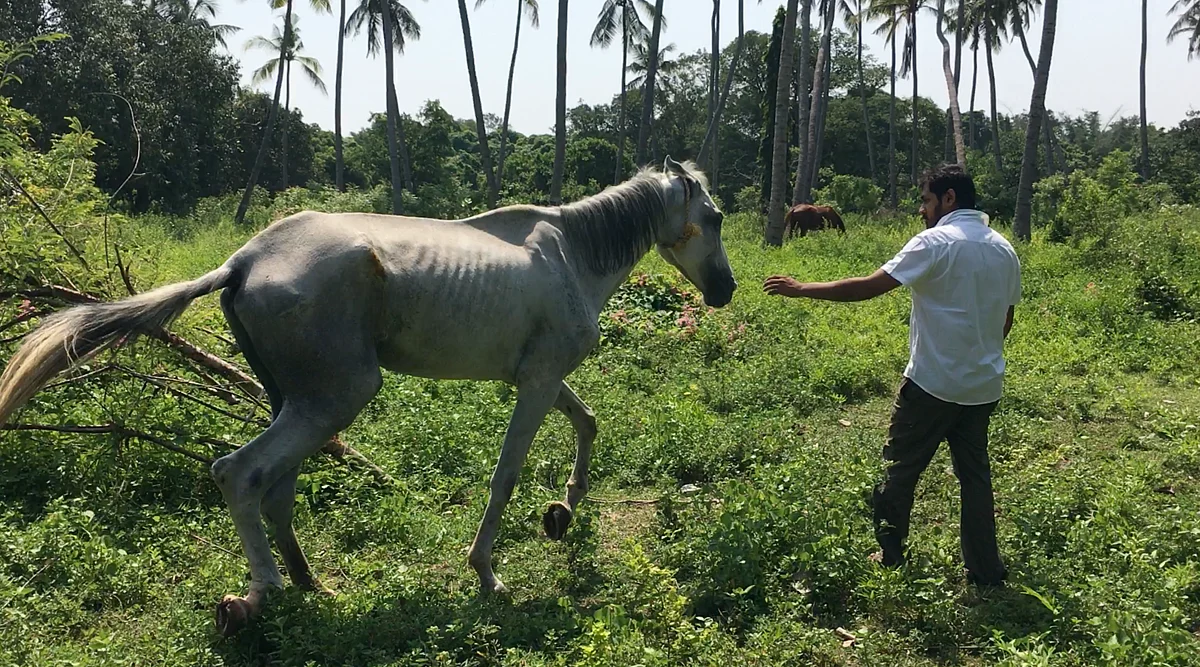 Shravan’s bond with animals started at a very young age.