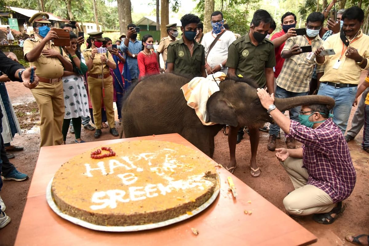 Sreekutty’s birthday cake-cutting ceremony was attended by many!