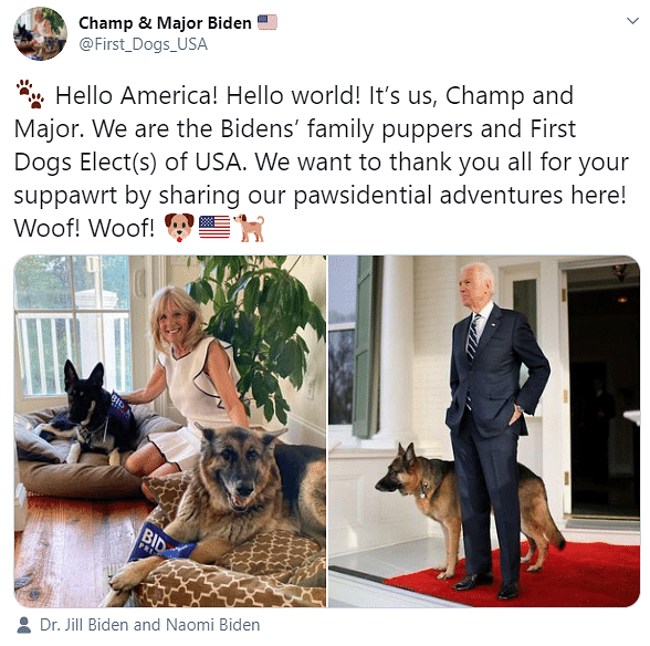 Reports claim that Major will be the first rescue dog to enter the White House.