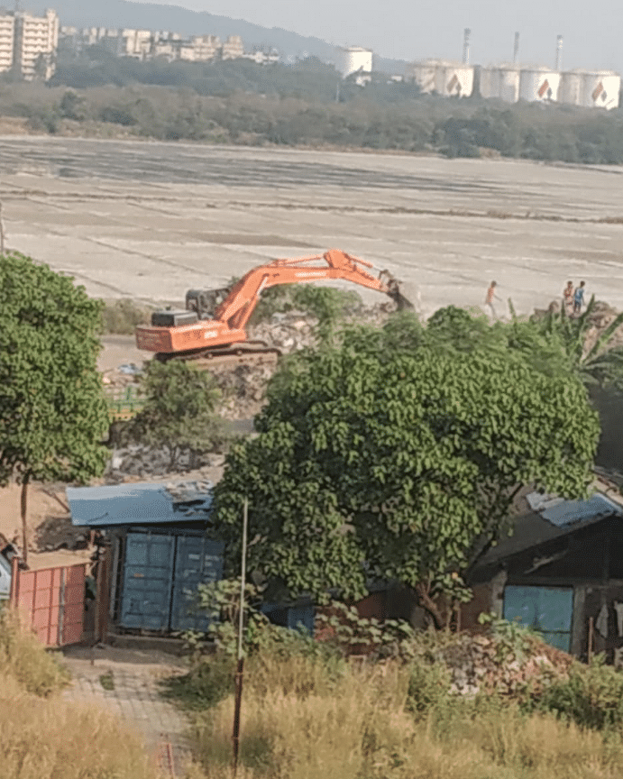 Not only have large swathes of mangroves dried up, the land is also being encroached upon.