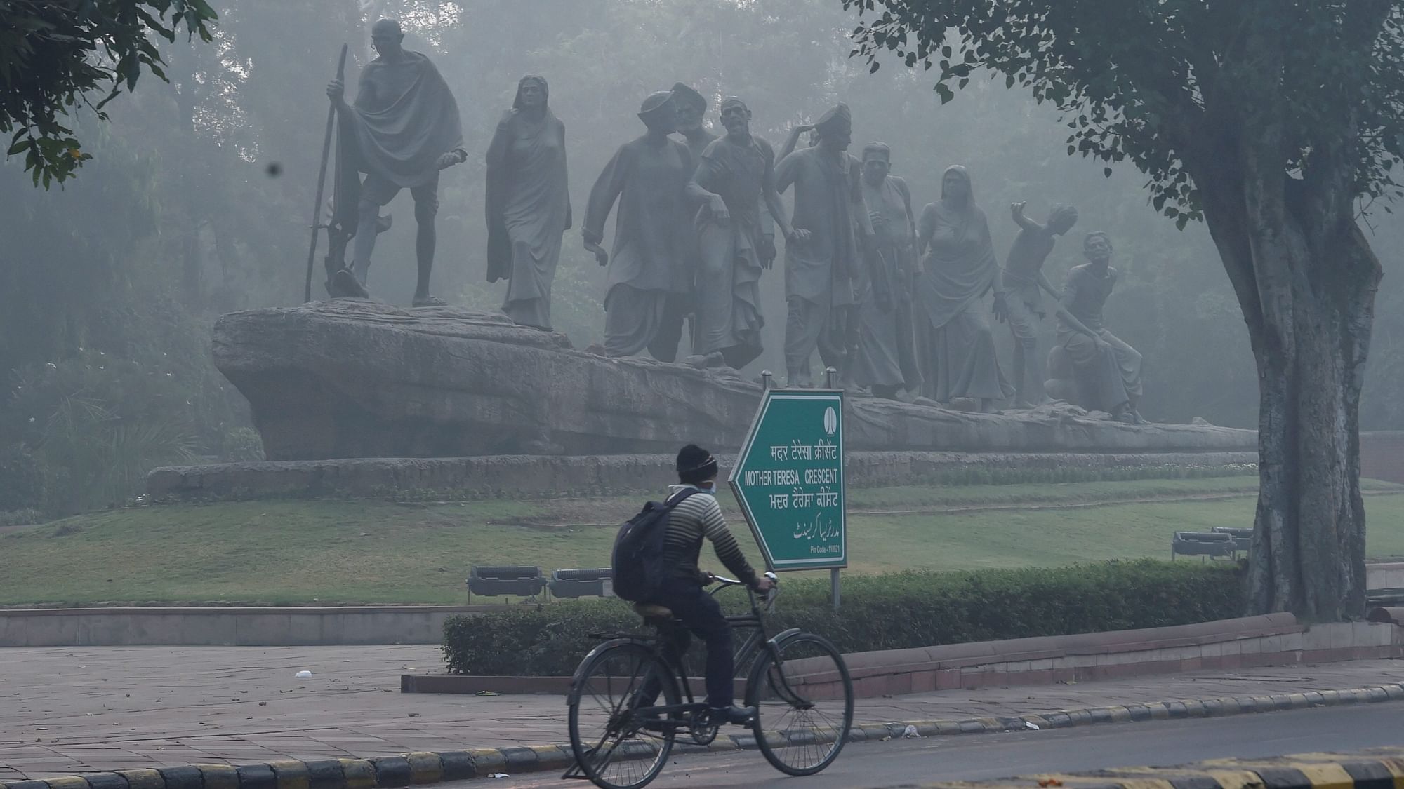 A cyclist rides through smog post Diwali celebrations, in New Delhi. Image used for representation only,