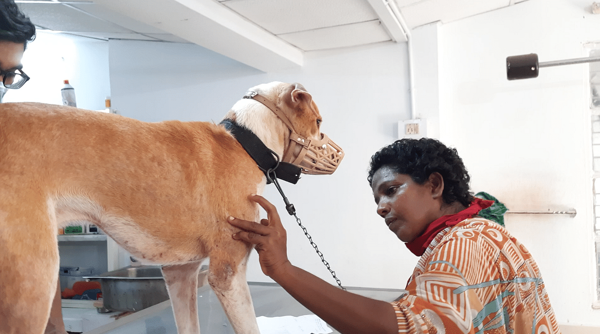 The dispensary also provides free treatment and aid for people from economically backward communities who want to ensure their furries are healthy.