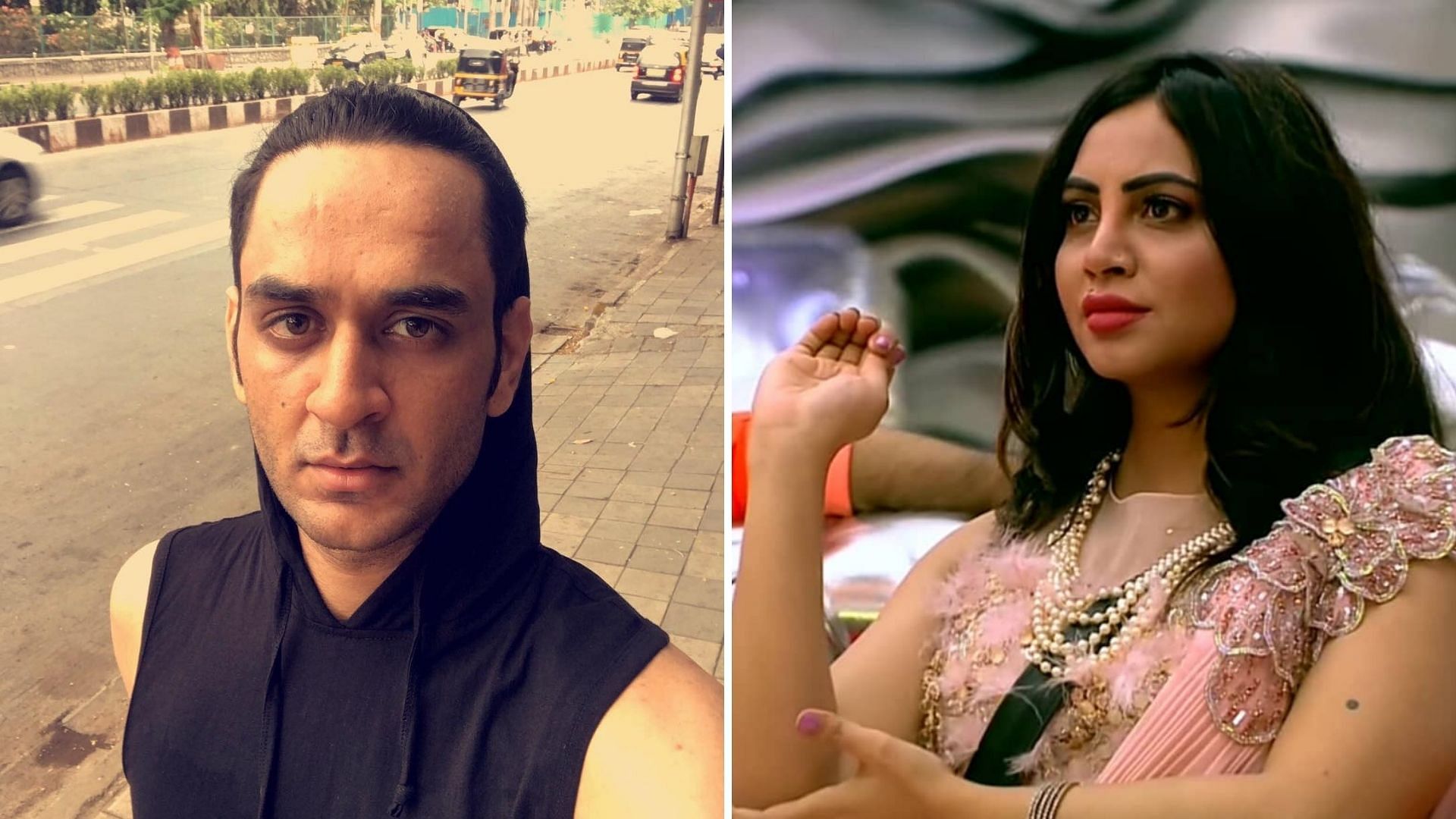 Bigg Boss: Reports Suggest Vikas Gupta Evicted For Pushing Arshi