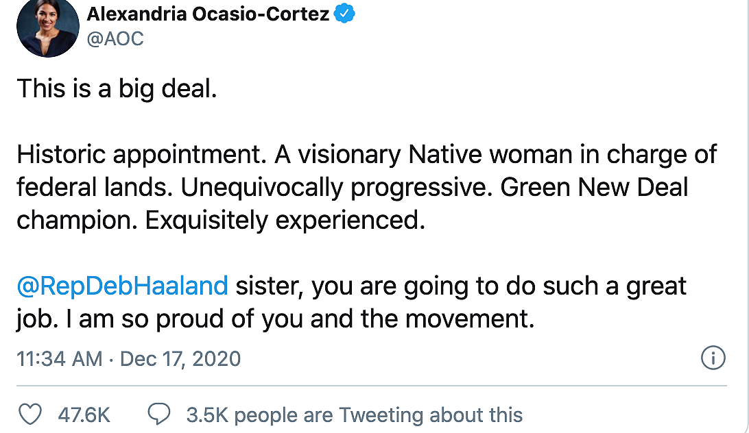 Biden Picks Native American Deb Haaland as Interior Secretary