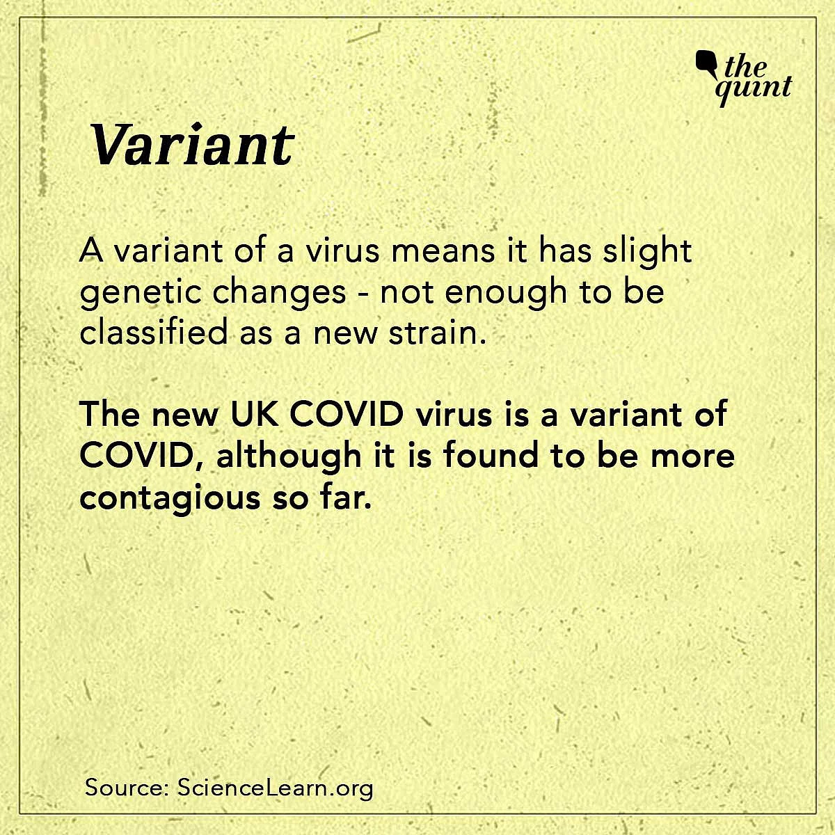 COVID Dictionary: What’s the Difference Between Strain & Variant?