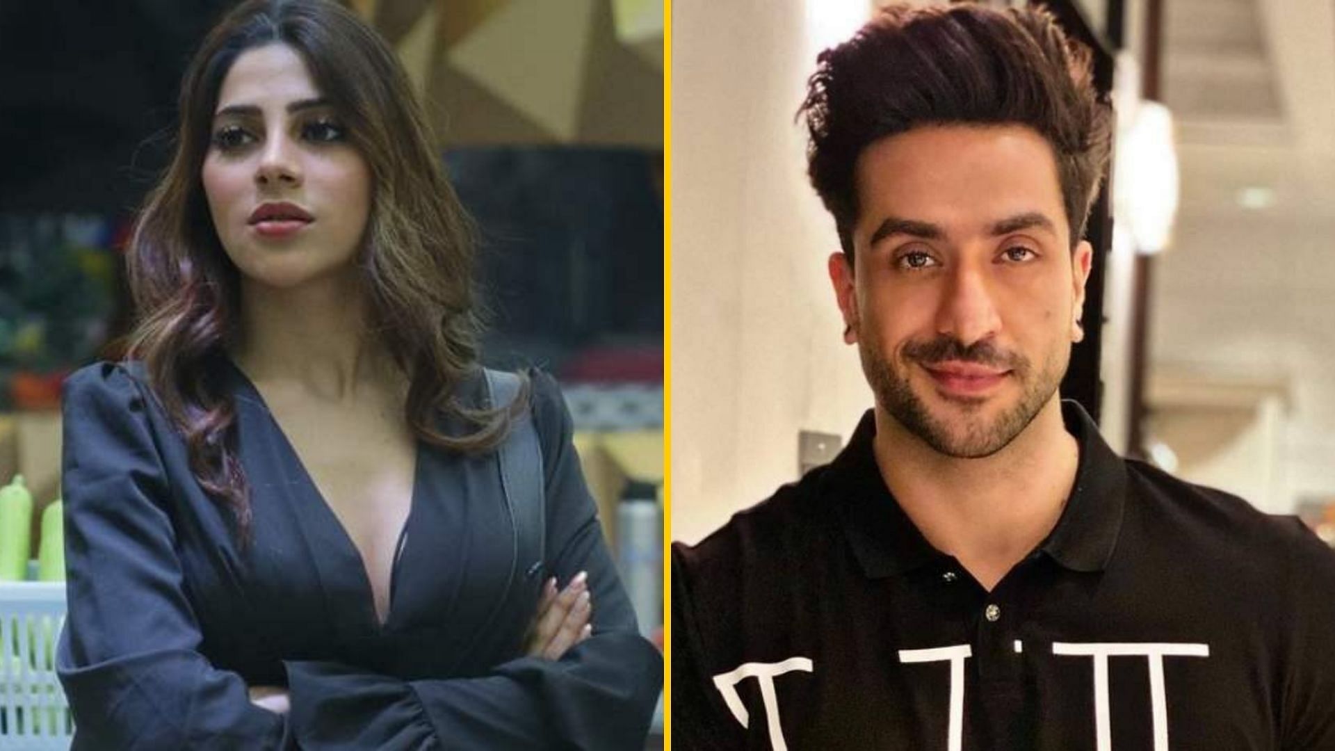 Nikki Tamboli & Aly Goni to re-enter Bigg Boss 14. 