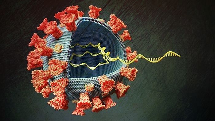 France has confirmed the first case of a new coronavirus variant that recently emerged in Britain.