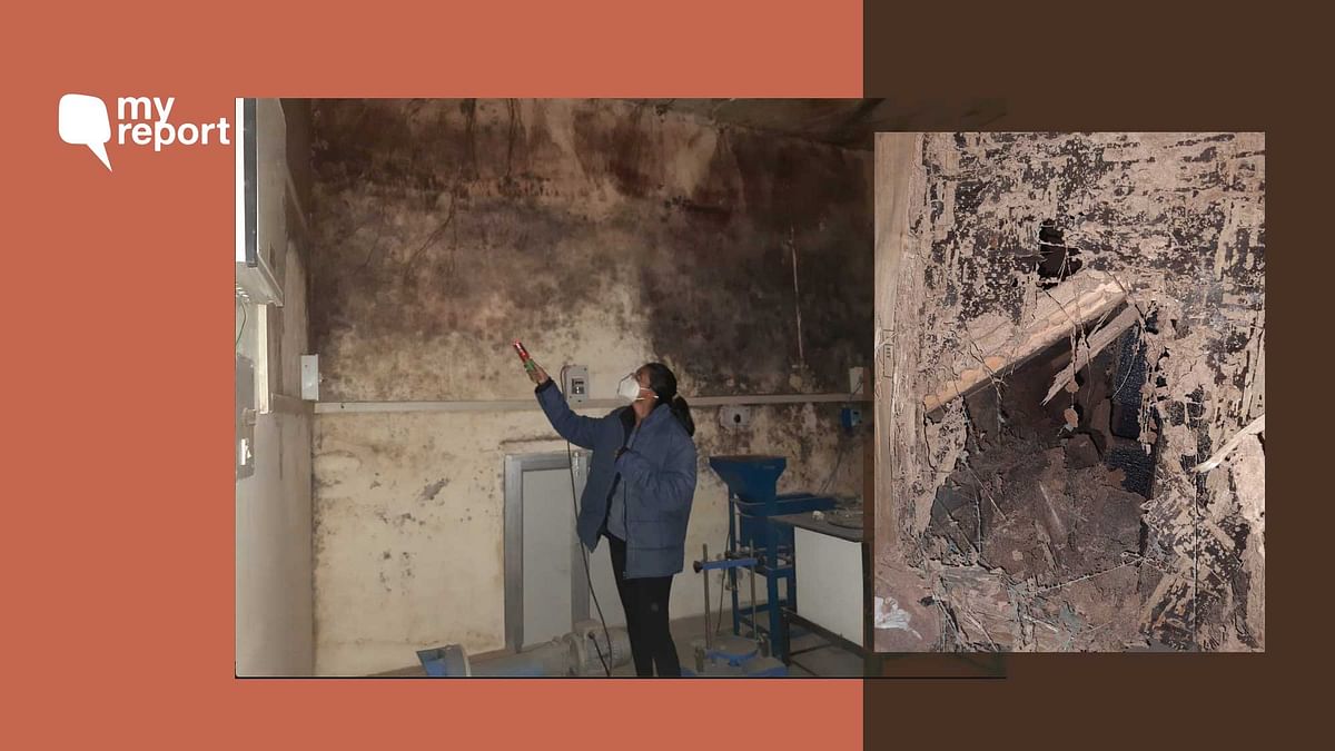 ‘Termites, Seepage at JNU Lab Destroyed Yrs of PhD Research Work’