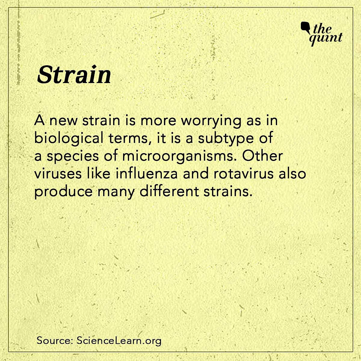 COVID Dictionary: What’s the Difference Between Strain & Variant?