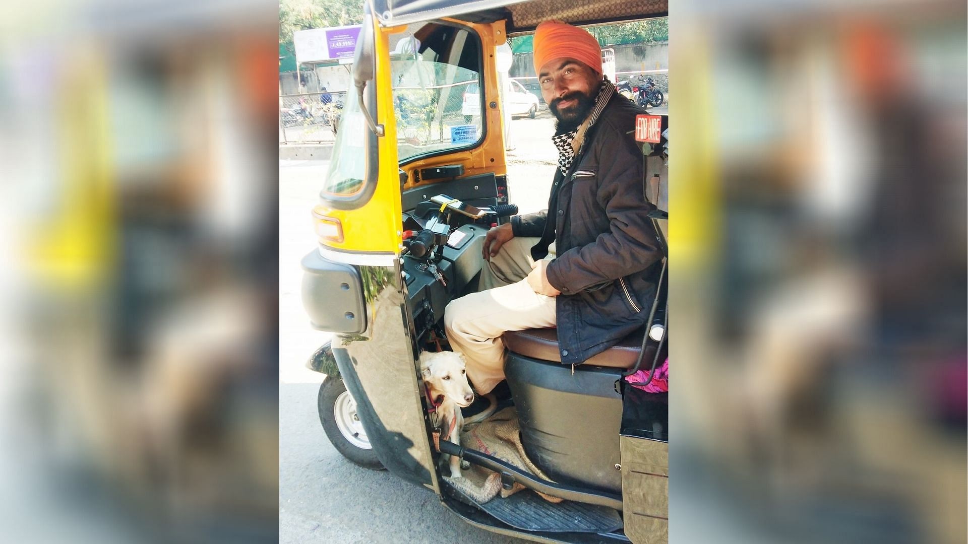 Auto Driver Accompanied by Pet Dog Goes Viral, Facebook Reacts