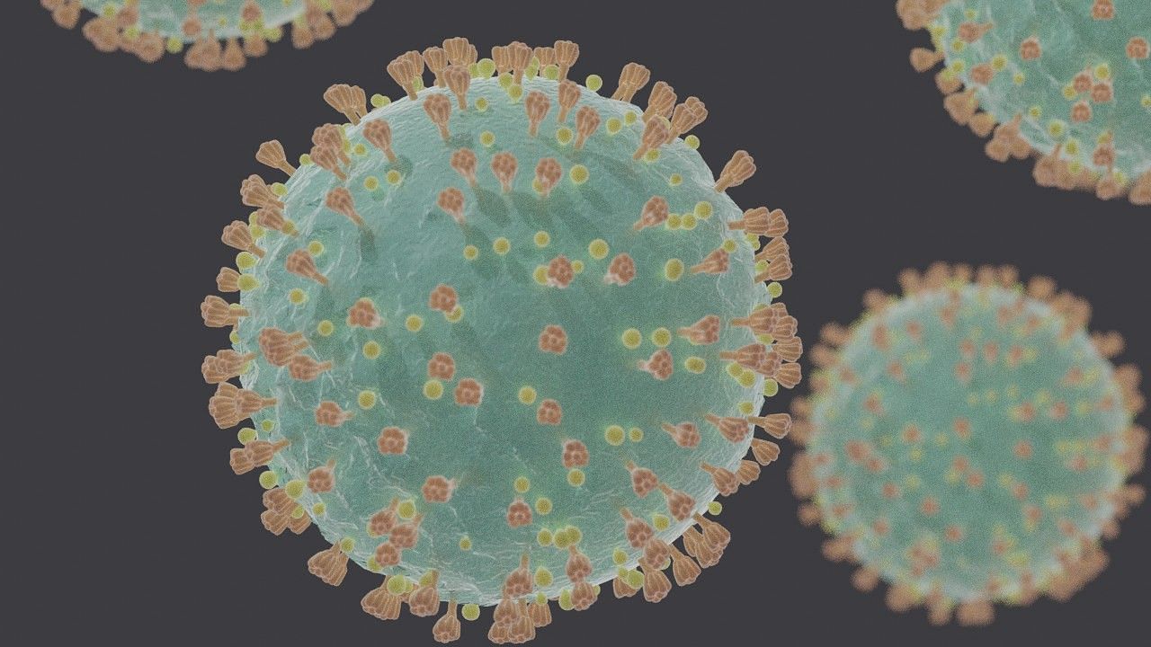 The Union Health Ministry on Tuesday, 23 February, confirmed the detection of two new variants of novel coronavirus, other than the Brazilian, UK and South African, in at least three Indian states.