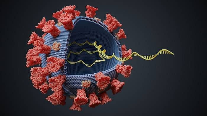 A new variant of coronavirus has been found.