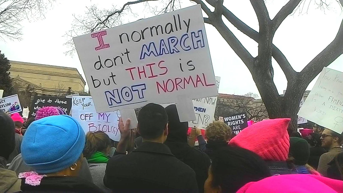 A protestor at Donald Trump’s inauguration in January 2017. 