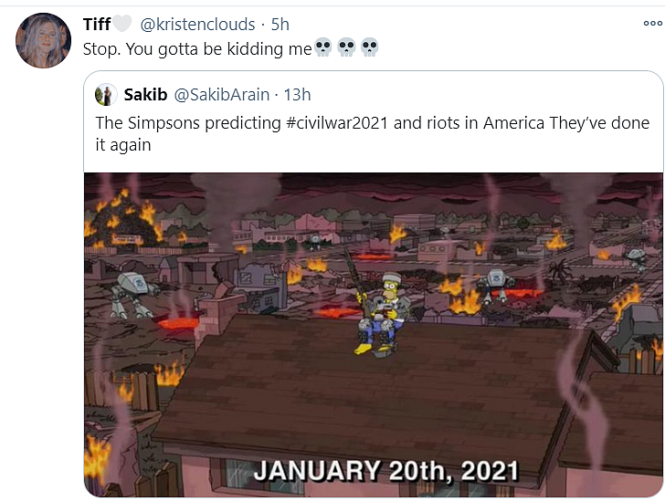 Did ‘Simpsons’ Predict US Capitol Hill Siege? Netizens Think So