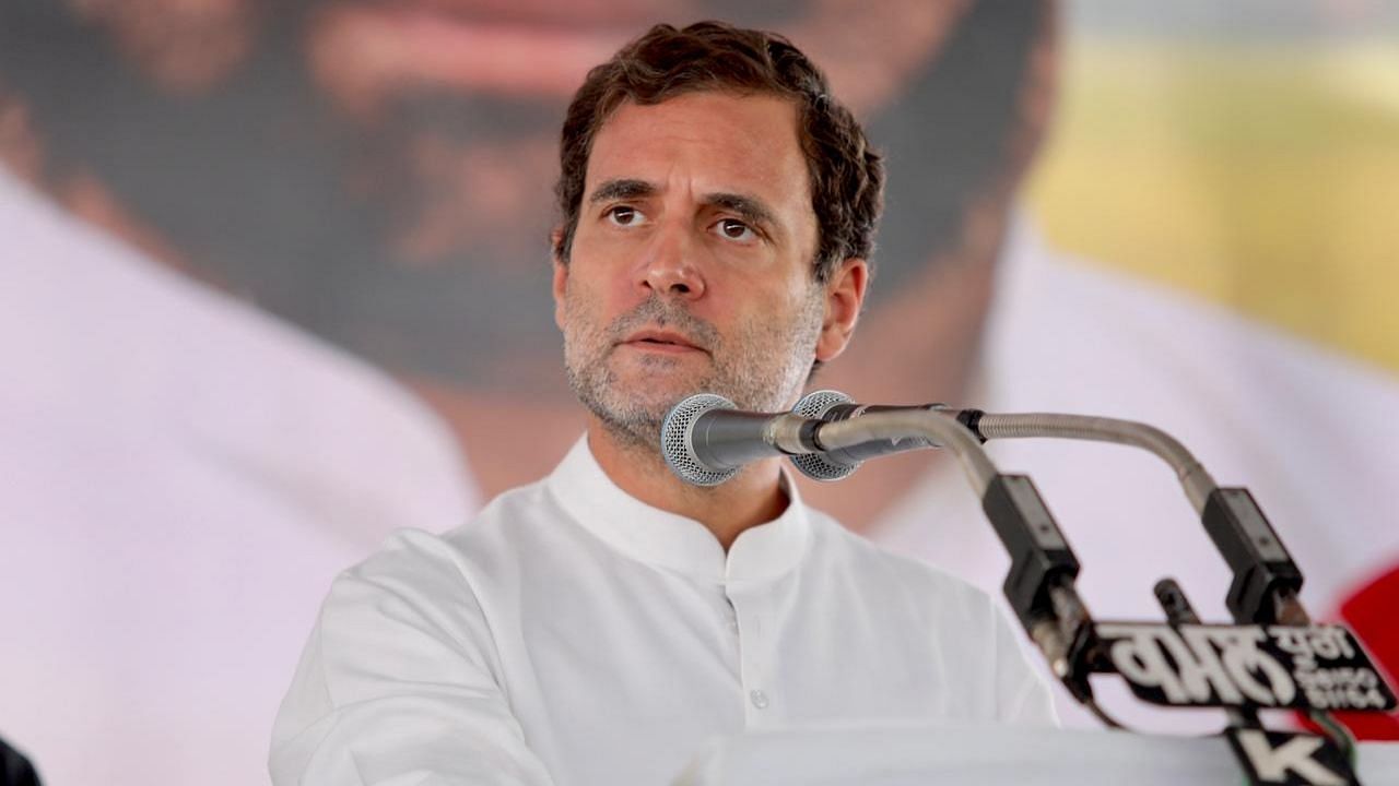 Congress leader Rahul Gandhi spoke at an election campaign in Tamil Nadu. Image used for representation.&nbsp;