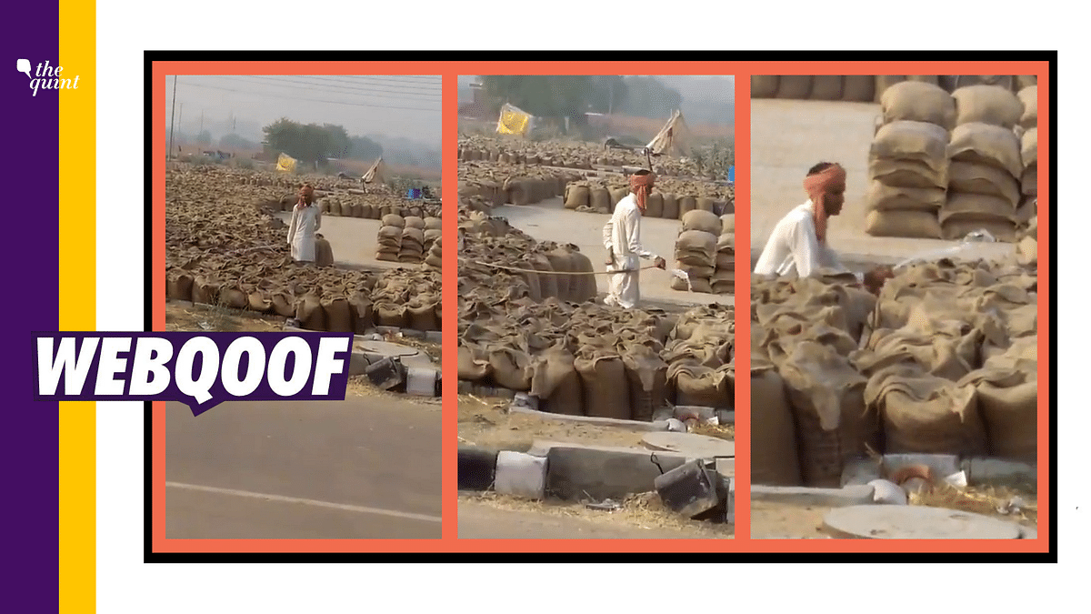 A viral video from 2018, in which a man can be seen sprinkling water on wheat sacks has been revived with false claims amid the ongoing farmers’ agitation.