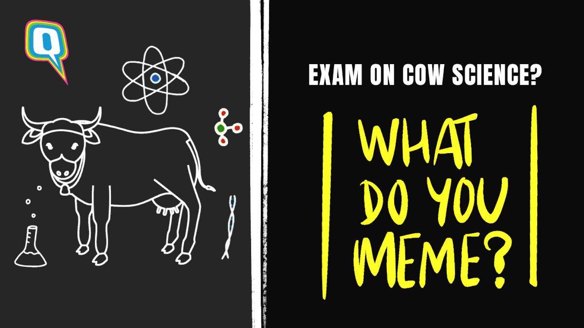 A Quick Crash Course and Hacks to Crack the ‘Cow Science’ Exam 