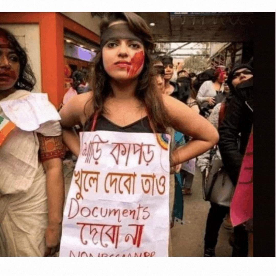 Placard Saying ‘Will Disrobe But Won’t Show Documents’ Is Morphed
