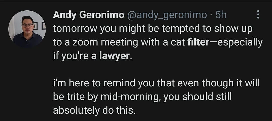 Watch: Lawyer Struggles to Turn off Cat Filter During Zoom Hearing