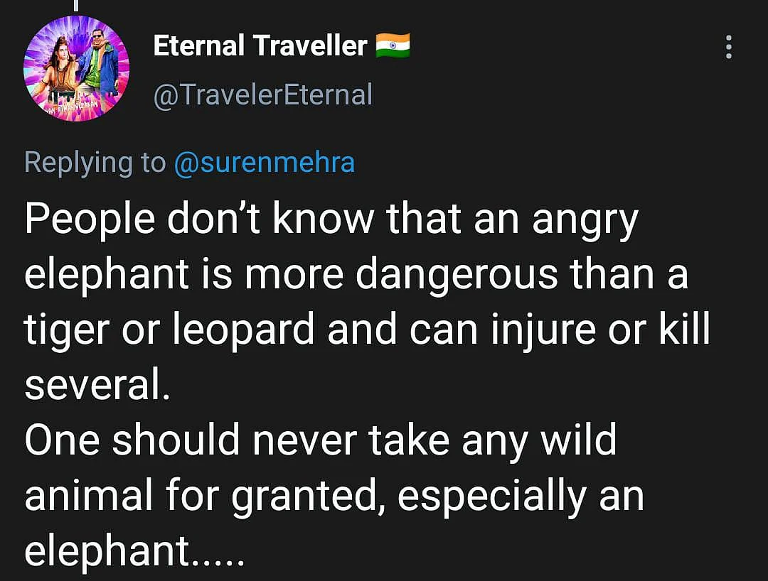 Elephant Charges Towards Car as Woman Says ‘Kuch Nahi Hoga’