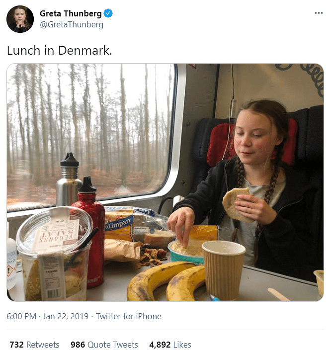 The original image was tweeted by Thunberg on 22 January 2019, identifying the location as Denmark.