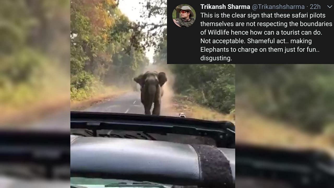 Elephant Charges Towards Car as Woman Says ‘Kuch Nahi Hoga’