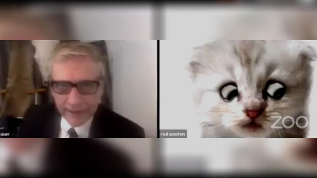 A video of a lawyer from Texas turning on the cat-filter during a virtual hearing has gone viral.