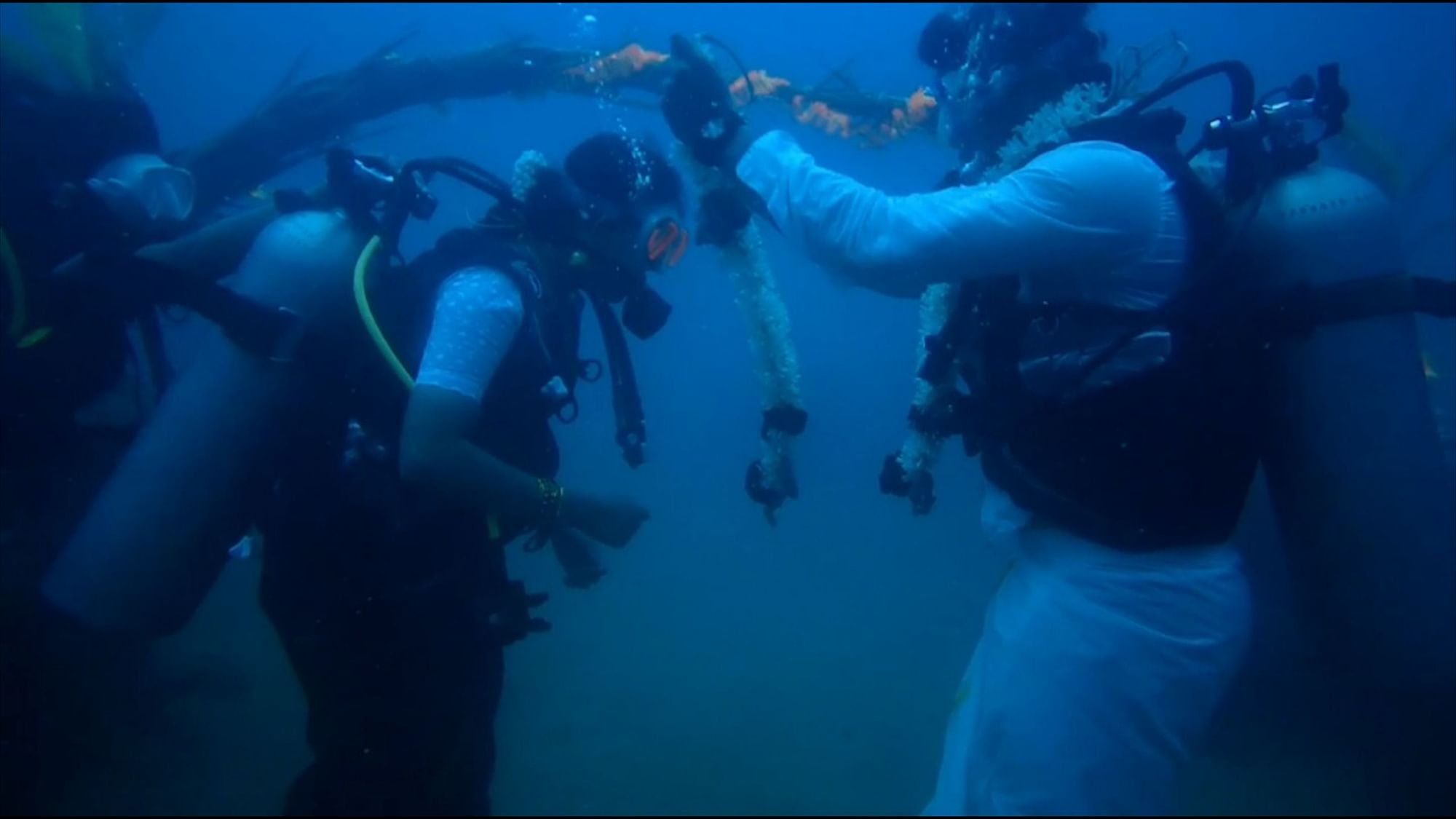 The couple wore clothes that was custom-made for scuba diving.
