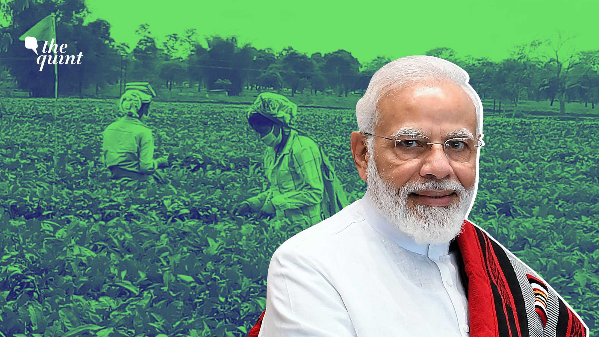At a rally in Assam’s Dhekiajuli on Sunday, Prime Minister Narendra Modi claimed that ‘forces abroad were conspiring to tarnish the image of Indian tea’.
